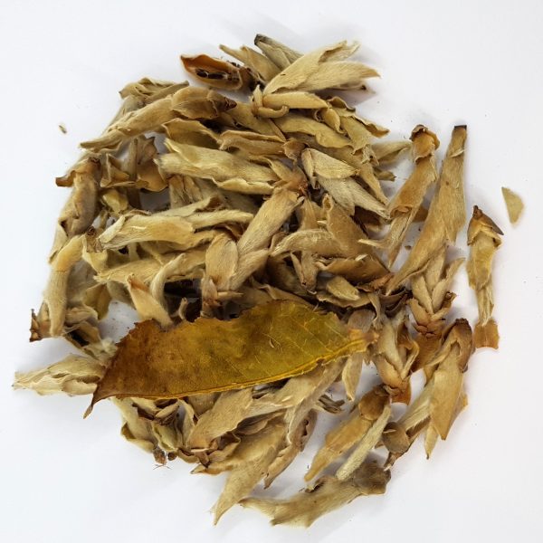 Ya Bo - Yunnan Silver Bud