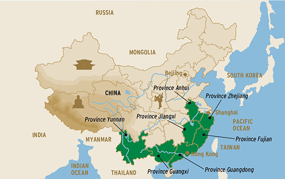 China tea regions